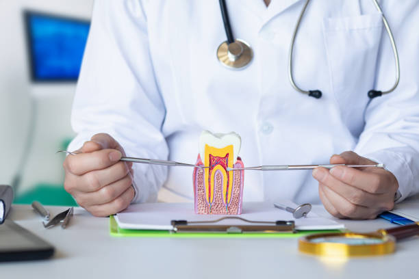 Best Emergency Treatment for Toothache in San Antonio, FL